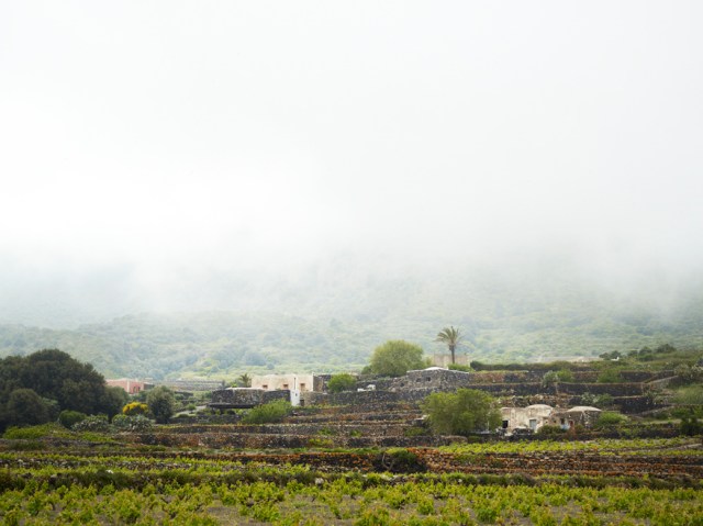 Foto: Anna Huerta, www.annahuerta.com