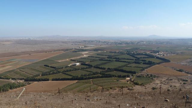 Vinmarker på Golanhøyden, bostavelig talt på grensen til Syria. De hvite bygningene til venstre er brakker for FN-personell som overvåker den demilitariserte sonen.